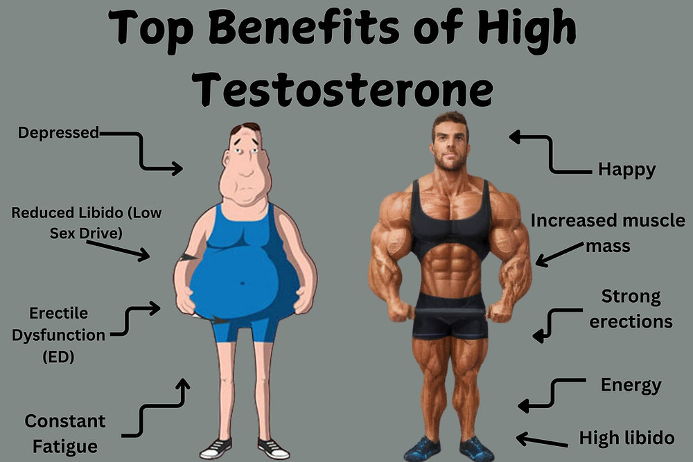 Benefits of High Testosterone