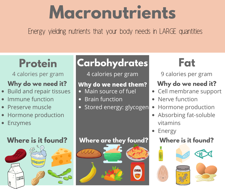 Macronutrients Decoded