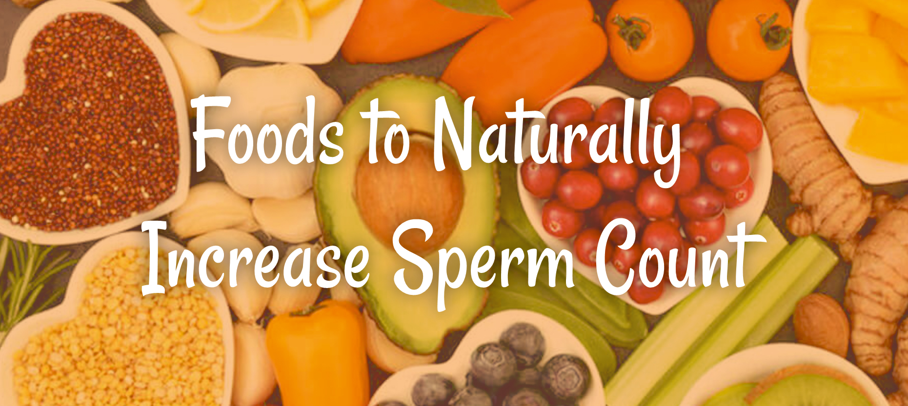 Foods to Increase-Sperm Count